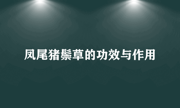 凤尾猪鬃草的功效与作用