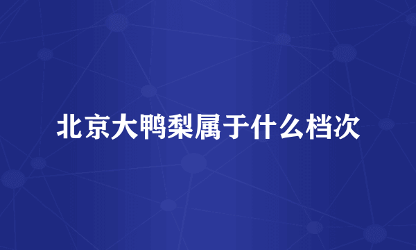 北京大鸭梨属于什么档次