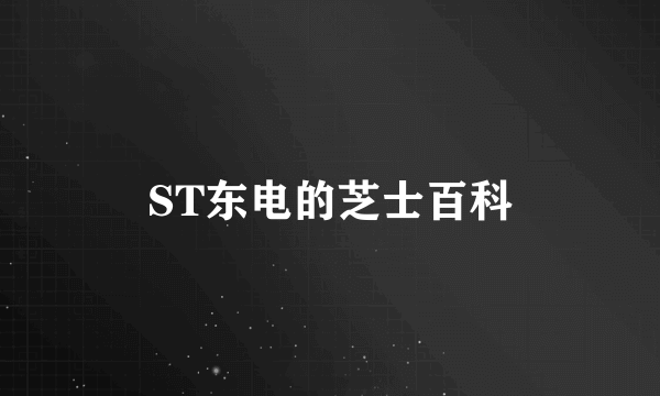 ST东电的芝士百科
