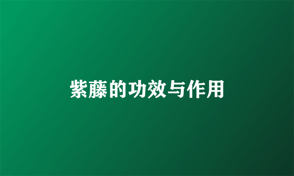 紫藤的功效与作用