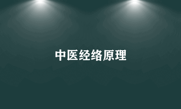 中医经络原理