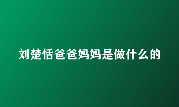 刘楚恬爸爸妈妈是做什么的