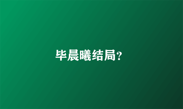 毕晨曦结局？