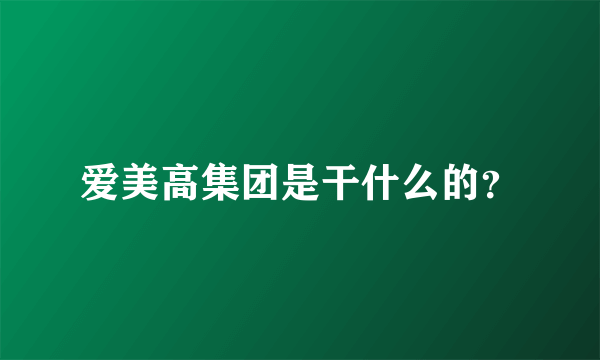 爱美高集团是干什么的？