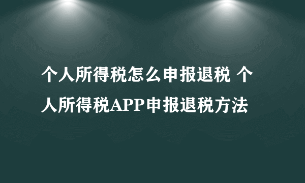 个人所得税怎么申报退税 个人所得税APP申报退税方法