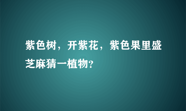 紫色树，开紫花，紫色果里盛芝麻猜一植物？
