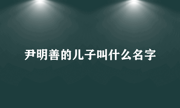 尹明善的儿子叫什么名字