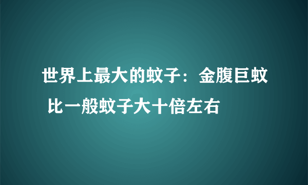 世界上最大的蚊子：金腹巨蚊 比一般蚊子大十倍左右