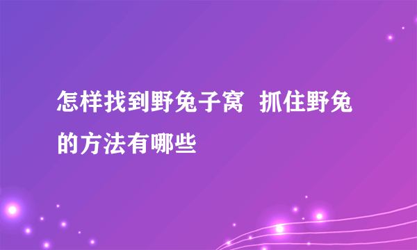 怎样找到野兔子窝  抓住野兔的方法有哪些