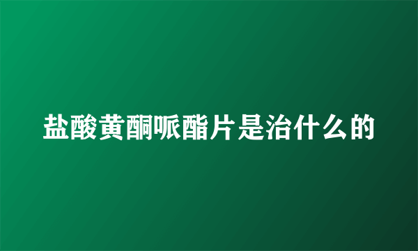 盐酸黄酮哌酯片是治什么的