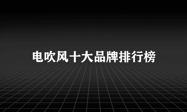 电吹风十大品牌排行榜
