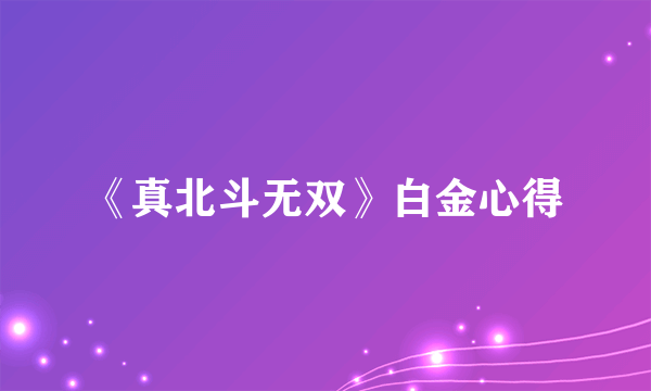 《真北斗无双》白金心得