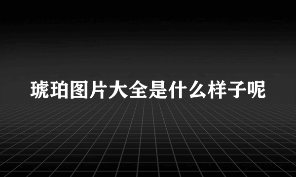 琥珀图片大全是什么样子呢
