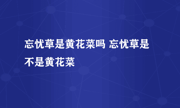 忘忧草是黄花菜吗 忘忧草是不是黄花菜