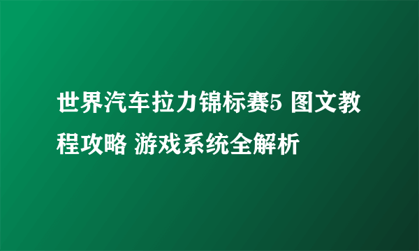 世界汽车拉力锦标赛5 图文教程攻略 游戏系统全解析