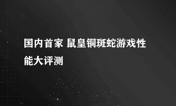国内首家 鼠皇铜斑蛇游戏性能大评测