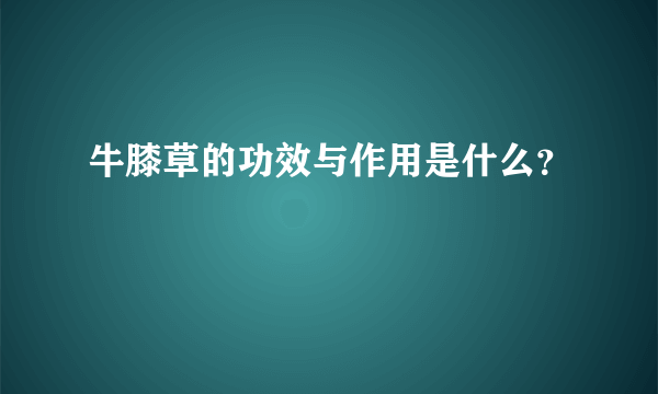牛膝草的功效与作用是什么？