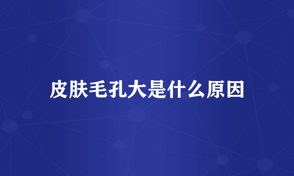 皮肤毛孔大是什么原因