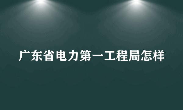 广东省电力第一工程局怎样