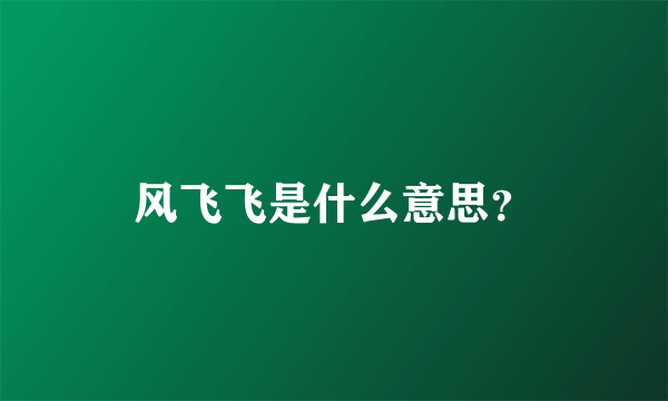 风飞飞是什么意思？