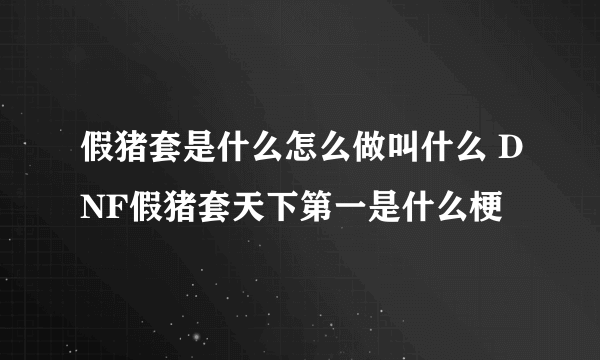 假猪套是什么怎么做叫什么 DNF假猪套天下第一是什么梗