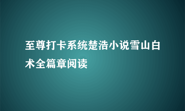 至尊打卡系统楚浩小说雪山白术全篇章阅读