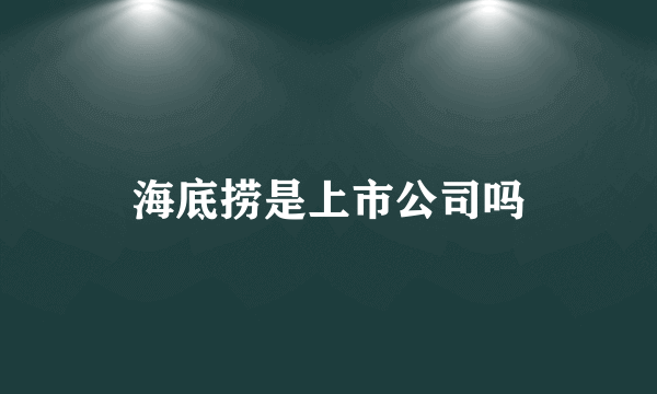 海底捞是上市公司吗
