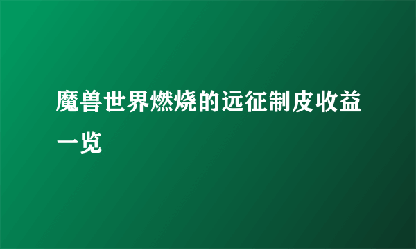 魔兽世界燃烧的远征制皮收益一览