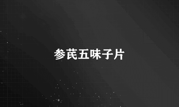 参芪五味子片