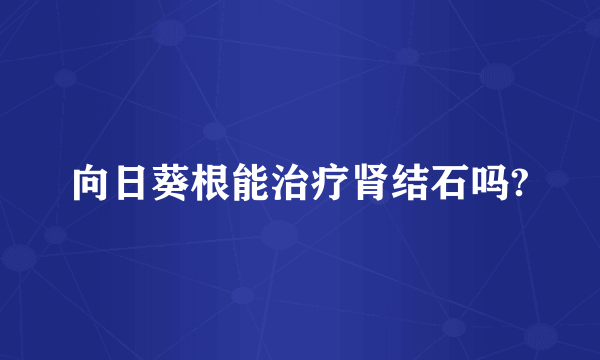 向日葵根能治疗肾结石吗?