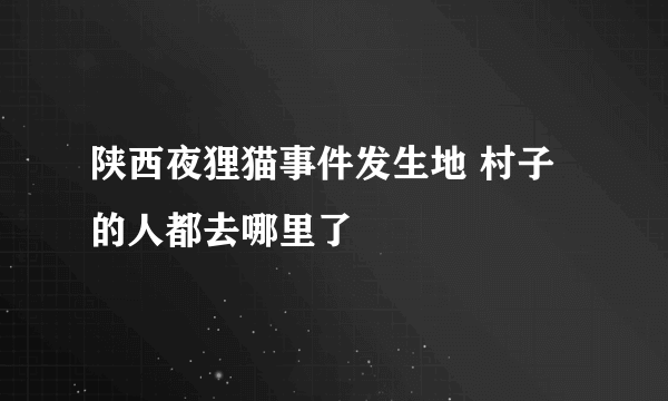 陕西夜狸猫事件发生地 村子的人都去哪里了