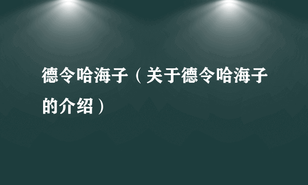 德令哈海子（关于德令哈海子的介绍）