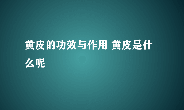黄皮的功效与作用 黄皮是什么呢