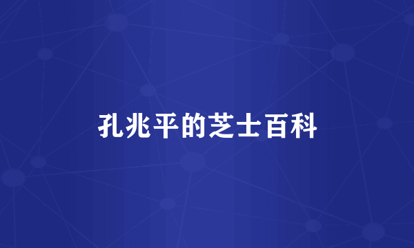孔兆平的芝士百科