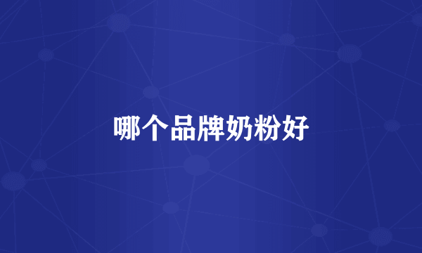 哪个品牌奶粉好