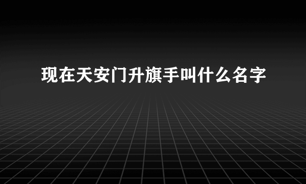 现在天安门升旗手叫什么名字