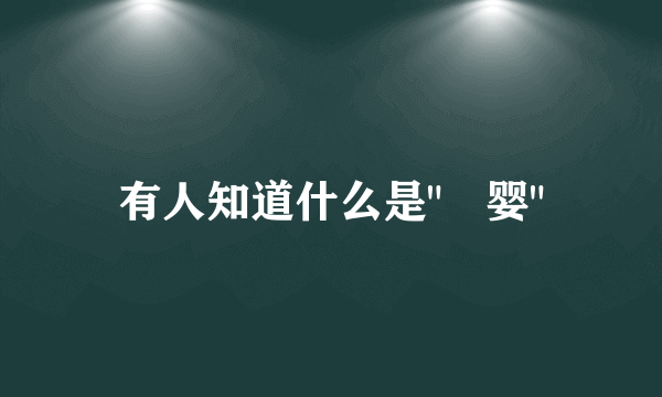 有人知道什么是