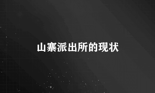 山寨派出所的现状