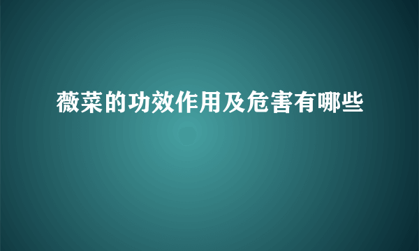 薇菜的功效作用及危害有哪些