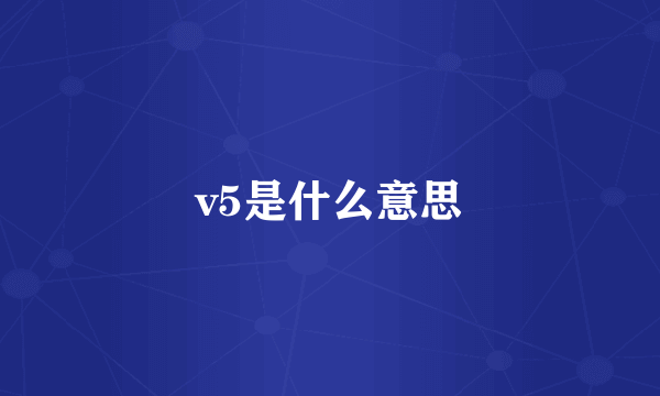 v5是什么意思