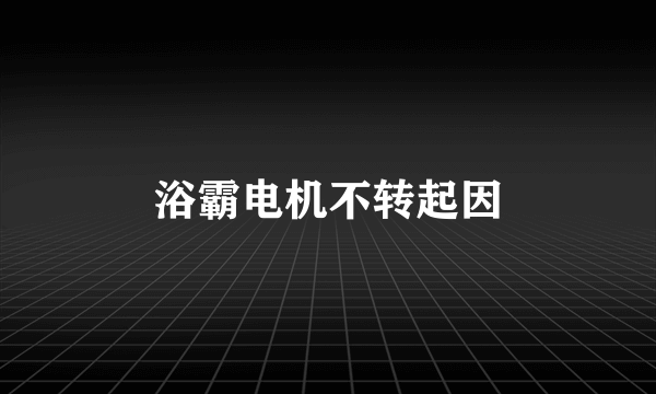 浴霸电机不转起因